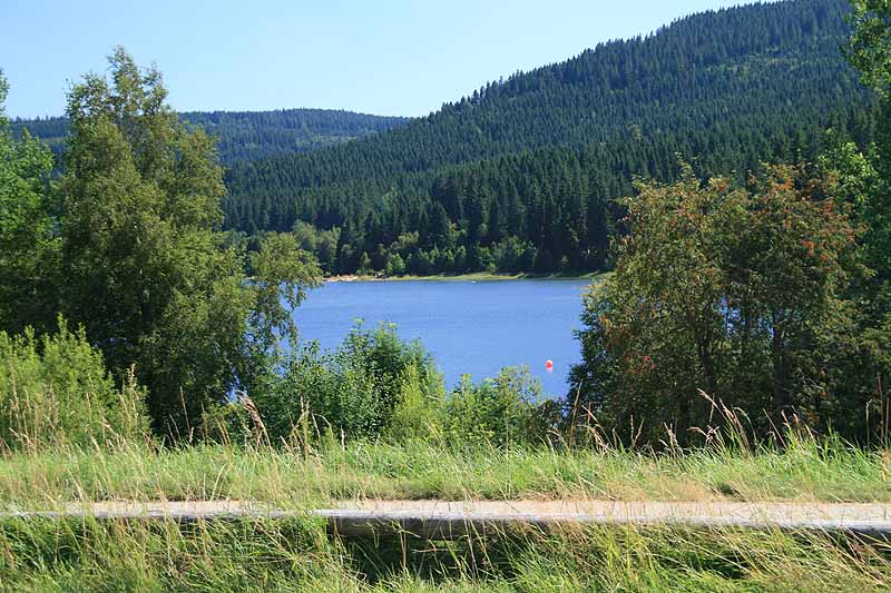 Schluchsee fkk